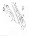 Fig. 04 - Thin-film composite retrievable endovascular devices and method of use