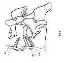 Fig. 08 - METHODS AND APPARATUS FOR A MULTIPLE TRANSITION TEMPERATURE IMPLANT