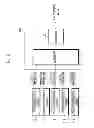Fig. 03 - Apparatus and method for controlling cooling of electronic components of fuel cell vehicle