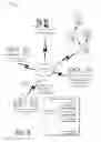 Fig. 09 - Distributed applications across platforms