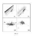 Fig. 06 - SYSTEM AND METHOD FOR CHARACTERIZING UNCERTAINTY IN SUBTERRANEAN RESERVOIR FRACTURE NETWORKS