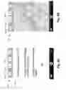 Fig. 08 - Multiple parallel dialogs in smart phone applications