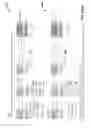 Fig. 25 - Identifying sources from which higher order ambisonic audio data is generated
