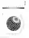 Fig. 85 - Performing order reduction with respect to higher order ambisonic coefficients