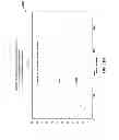 Fig. 74 - Compression of decomposed representations of a sound field