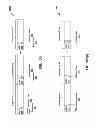Fig. 18 - COMPRESSION OF DECOMPOSED REPRESENTATIONS OF A SOUND FIELD