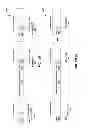 Fig. 19 - COMPRESSION OF DECOMPOSED REPRESENTATIONS OF A SOUND FIELD