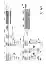 Fig. 31 - COMPRESSION OF DECOMPOSED REPRESENTATIONS OF A SOUND FIELD