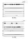 Fig. 82 - COMPRESSION OF DECOMPOSED REPRESENTATIONS OF A SOUND FIELD