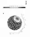 Fig. 85 - COMPRESSION OF DECOMPOSED REPRESENTATIONS OF A SOUND FIELD