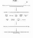 Fig. 03 - ASSET MANAGEMENT KEY PERFORMANCE INDICATORS AND BENCHMARKING