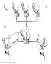 Fig. 06 - Click detection method, apparatus and system