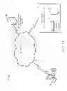 Fig. 02 - Systems and methods for in-vehicle navigated shopping