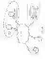 Fig. 03 - Systems and methods for in-vehicle navigated shopping
