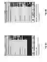 Fig. 12 - Modifying An Application To Display Branding Information Identifying A Particular Business