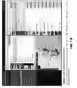 Fig. 27 - Modifying An Application To Display Branding Information Identifying A Particular Business