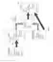 Fig. 02 - Entity integration using high-level scripting languages