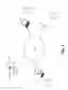 Fig. 02 - Photo and video sharing