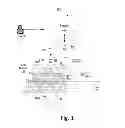 Fig. 02 - Data aggregation in the internet of things