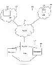 Fig. 01 - METHOD FOR SECURELY SHARING A URL