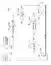 Fig. 04 - Elastic auto-parallelization for stream processing applications based on measured throughput and congestion