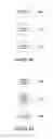 Fig. 09 - Registry