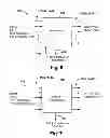 Fig. 07 - Trusted manager bridge