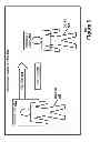Fig. 07 - ADDING CAPTIONS AND EMPHASIS TO VIDEO