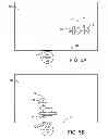 Fig. 07 - ORGANIZING DISPLAY DATA ON A MULTIUSER DISPLAY