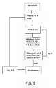 Fig. 04 - Method for producing dynamic data structures for authentication and/or password identification