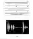 Fig. 03 - Voice based biometric authentication method and apparatus