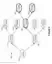Fig. 09 - Managing network identities