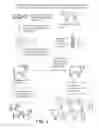 Fig. 02 - GENETICALLY STERILE ANIMALS