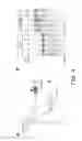 Fig. 05 - GENETICALLY STERILE ANIMALS