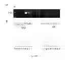 Fig. 06 - TARGETED GENE MODIFICATION USING HYBRID RECOMBINANT ADENO-ASSOCIATED VIRUS