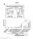 Fig. 06 - Method for modulating the number of archesporial cells in a developing anther