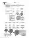 Fig. 43 - Method for modulating the number of archesporial cells in a developing anther