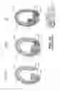 Fig. 43 - Sucrose Transporters and Methods of Generating Pathogen-Resistant Plants