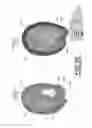 Fig. 46 - Sucrose Transporters and Methods of Generating Pathogen-Resistant Plants