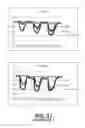Fig. 55 - Sucrose Transporters and Methods of Generating Pathogen-Resistant Plants