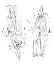 Fig. 02 - SHEARS