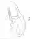 Fig. 07 - Article with adjustable rearward covering portion