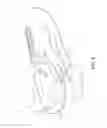 Fig. 09 - Article with adjustable rearward covering portion