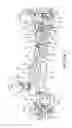 Fig. 10 - Shooting rest assembly