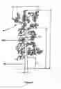 Fig. 04 - Method for controlling the planting of olive trees for the continuous mechanical harvesting of the olives
