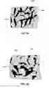 Fig. 03 - Cutting elements including polycrystalline diamond compacts for earth-boring tools