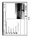 Fig. 09 - Packing station and multi-modal interface
