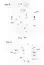 Fig. 06 - Filter arrangements; housings; assemblies; and, methods