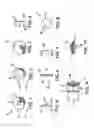 Fig. 02 - DECORATIVE JEWELRY MODULE