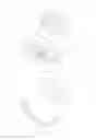 Fig. 02 - Bell-shaped vibrator type angular rate gyro